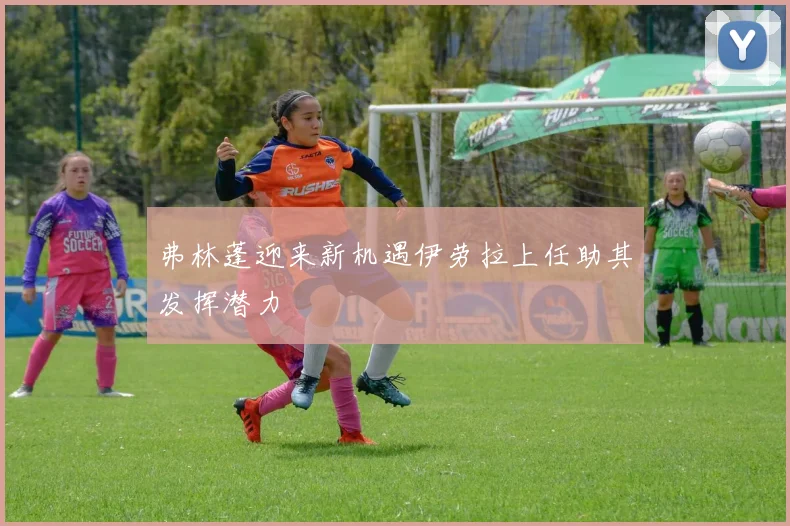 弗林蓬迎来新机遇伊劳拉上任助其发挥潜力
